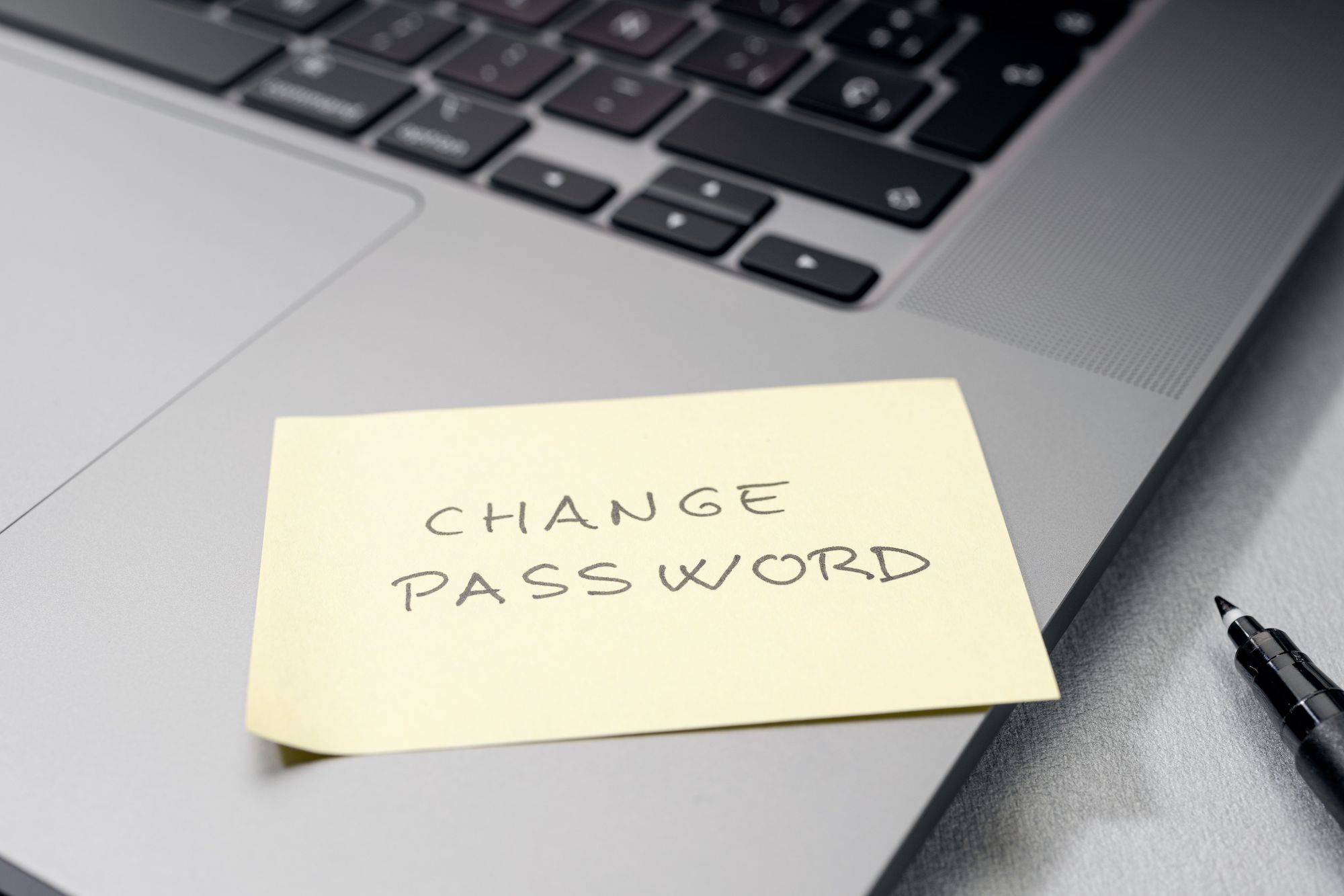 How to change your password (Users)